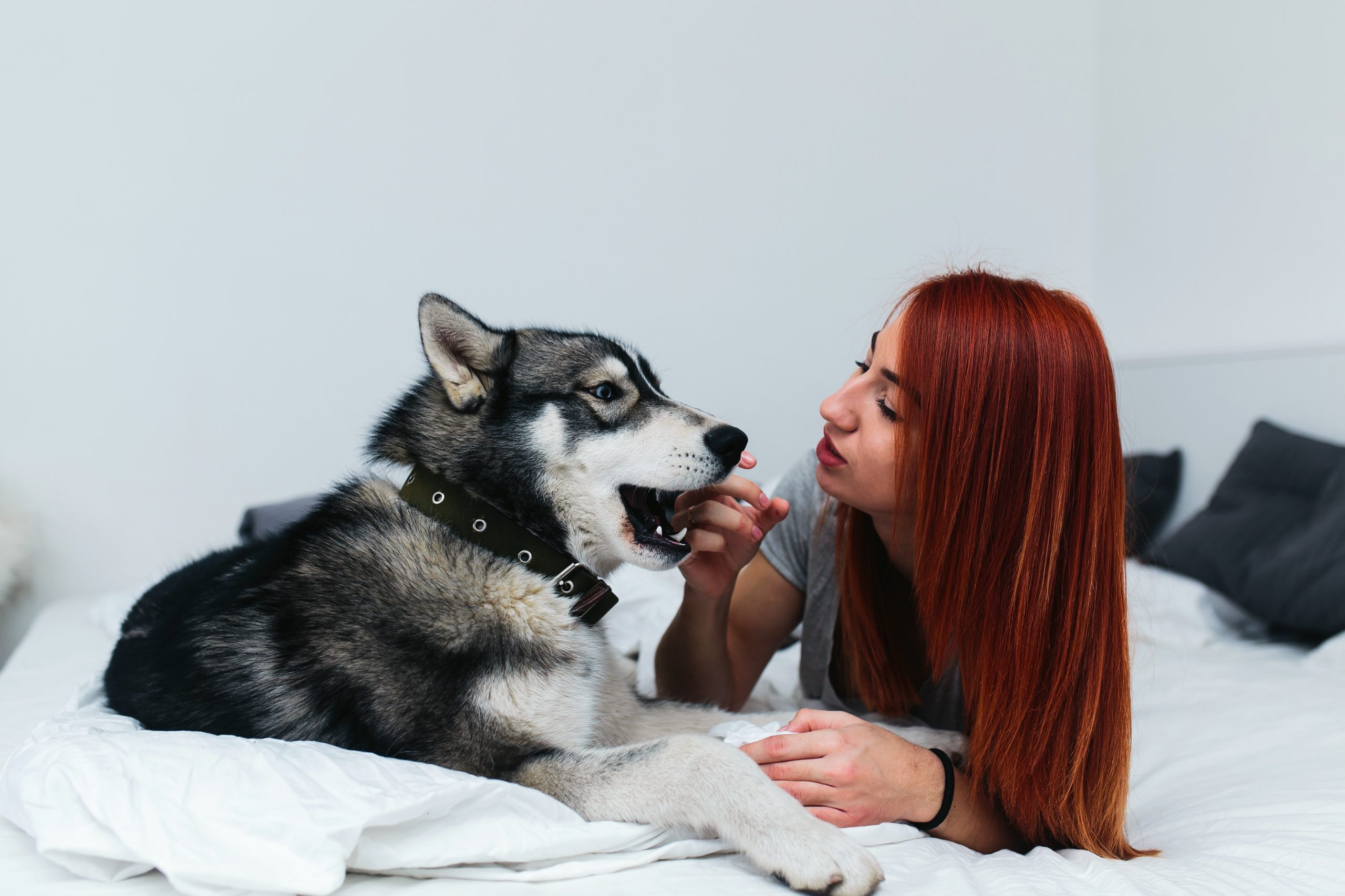 Mujer joven conectando con su perro en un ambiente tranquilo